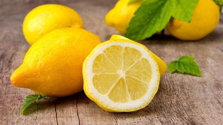 Limon Çekirdeği Nasıl Filizlendirilir