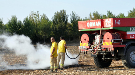 Malkarada çıkan orman yangınında 800 ağaç zarar gördü