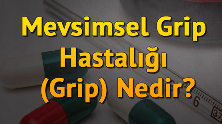 Mevsimsel Grip Hastalığı (Grip) Nedir