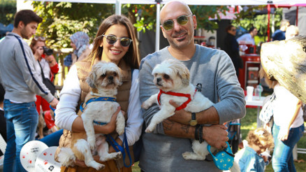 Petival Hayvanseverlerle Buluştu