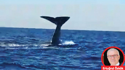 Diktatör ne zaman bize çok yararlı olur