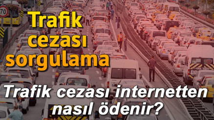 Plakadan trafik ceza sorgulama işlemi nasıl yapılır Trafik cezası internetten nasıl ödenir