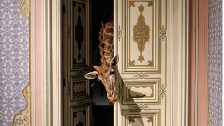 Abdülmecit Efendi Köşkü nerede İçimdeki Çocuk sergisi ne zamana kadar devam edecek