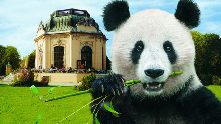 Çocuktan onaylı Viyana programı