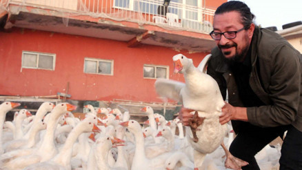 Mahkemenin Kazbank dolandırıcılığı ile ret kararına SPKdan itiraz Mahkemenin Kazbank dolandırıcılığı ile ret kararına SPKdan itiraz