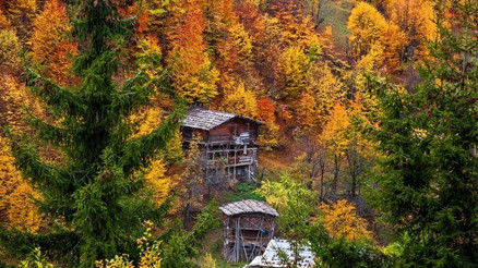 Artvin sonbaharda fotoğraf tutkunlarını cezbediyor