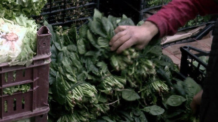 Ispanak kâbusunu yaşadı: Gözlerimi kaybettim sandım Uzmanlar zehirlenmeyle ilgili bu uyarıları yaptı