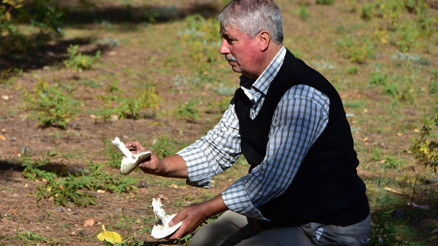Muğlada şoke eden olay Yedikleri mantar dünyanın en zehirlisi çıktı...
