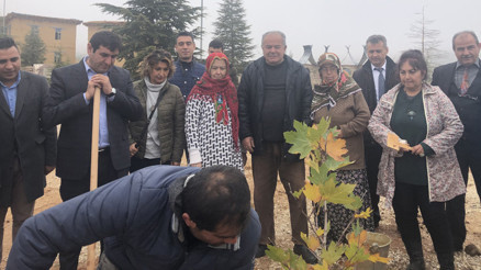 Sanatçıların köyünde, Yıldız Kenter için çınar fidanı dikildi
