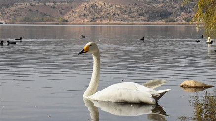 Gölbaşı Gölleri Tabiat Parkında sonbahar güzelliği