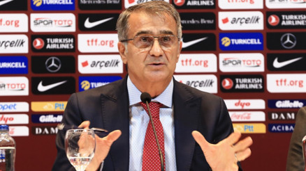 Şenol Güneş: Galler ve İsviçreyi yendiğimizde 6 puan ile çıkarız