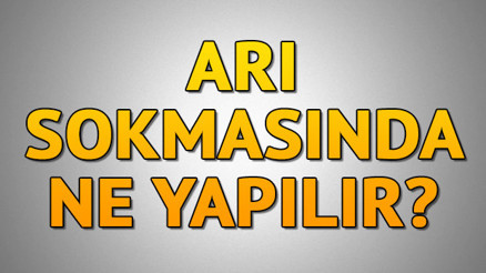 Arı sokmasına ne iyi gelir Arı sokmasına ne yapılır Evde arı sokmasına iyi gelen bitkisel ve doğal çözümler