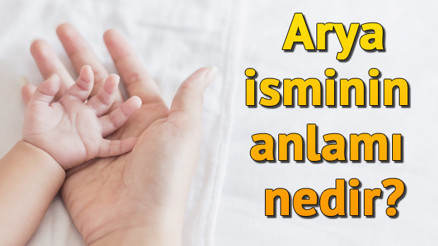 Arya isminin anlamı nedir Arya ne demek Arya isminin anlamı nedir Arya ne demek