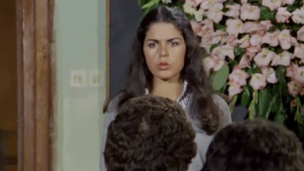 Hababam Sınıfı’nın Semra Hoca’sı Semra Özdamar kimdir