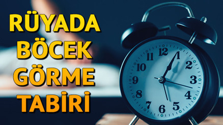 Rüyada böcek görmek ne anlama gelir Rüyada böcek öldürme tabiri
