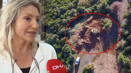 Son dakika haberi... Büyükada için yapılan açıklama tedirgin etti İnsana da bulaşabilir mi