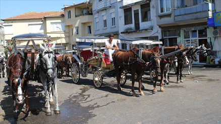 Ruam hastalığı insanlara bulaşır mı Ruam nedir belirtileri nelerdir