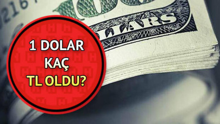 Dolar bugün ne kadar oldu 1 dolar kaç TLye karşılık geliyor