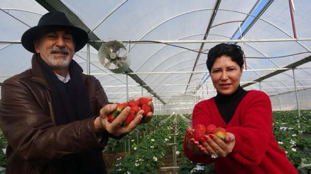 Fotoğrafçı ve profesör eşi el ele verdi Tonlarcasını satıyor...