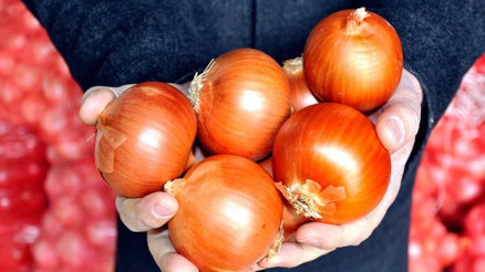 Kuru soğan ve patateste hem üretim hem ticaret arttı