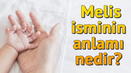 Melis İsminin Anlamı Nedir Melis Ne Demek Melis İsminin Anlamı Nedir Melis Ne Demek