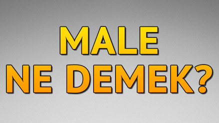 Male ne demek Male kelimesinin Türkçesi nedir