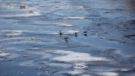 Zara’da Kızılırmak’ın yüzeyi kısmen buz tuttu