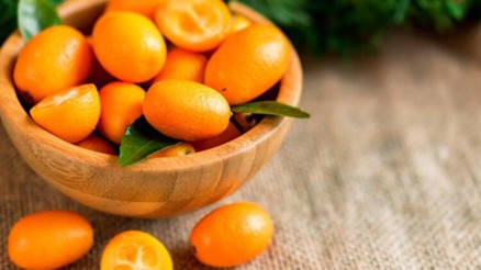 Turunçgillerin en küçük kardeşi kamkat sosuyla kontrfile