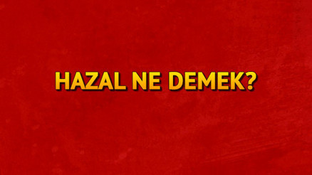 Hazal isminin anlamı nedir Hazal ne demek Hazal isminin anlamı nedir Hazal ne demek