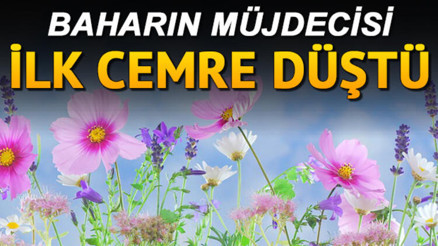 Cemreler ne zaman düşecek İkinci cemre ne zaman suya düşecek