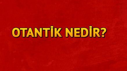 Otantik ne demek Otantik nedir Otantik TDK kelime anlamı