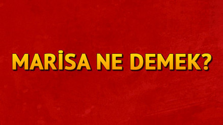 Saadet Işıl Aksoyun kızının adı Marisa ne demek Marisa isminin anlamı nedir Saadet Işıl Aksoyun kızının adı Marisa ne demek Marisa isminin anlamı nedir