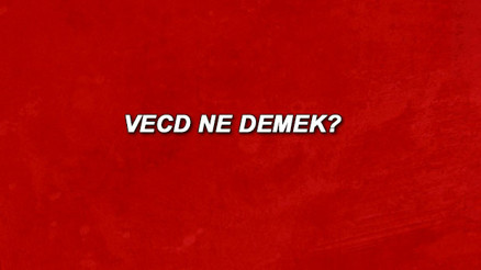 Vecd ne demek Vecd nedir Vecd TDK kelime anlamı