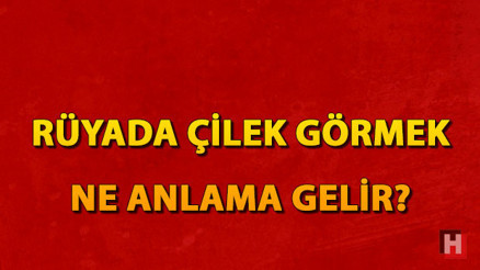 Rüyada çilek görmek ne anlama gelir Rüyada çilek toplamak ve yemek anlamı Rüyada çilek görmek ne anlama gelir Rüyada çilek toplamak ve yemek anlamı