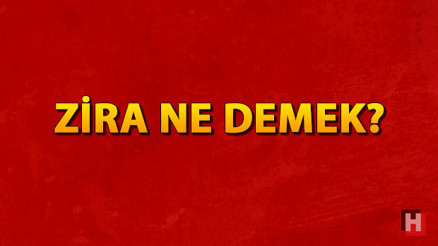 Zira ne demek Zira nedir Zira TDK kelime anlamı