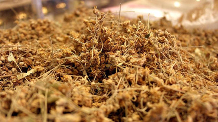 Ihlamurun faydaları nelerdir Ihlamur çayı neye iyi gelir