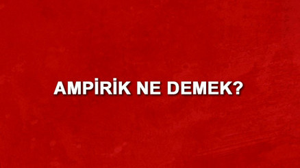 Ampirik ne demek Ampirik nedir Ampirik TDK kelime anlamı Ampirik ne demek Ampirik nedir Ampirik TDK kelime anlamı