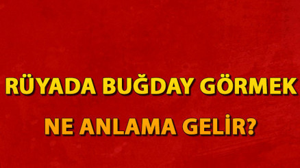 Rüyada buğday görmek ne anlama gelir Rüyada buğday tarlası ve yığını görmek tabiri
