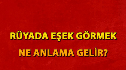 Rüyada eşek görmek ne anlama gelir