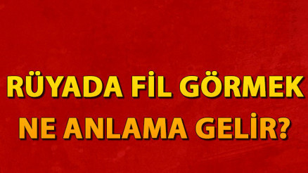 Rüyada fil görmek ne anlama gelir Rüyada fil yavrusu görmek anlamı
