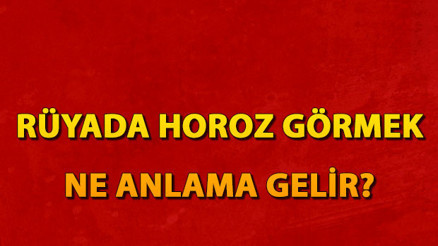 Rüyada horoz görmek ne anlama gelir Rüyada horoz kesmek anlamı