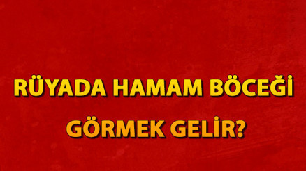 Rüyada hamam böceği görmek ne anlama gelir Rüyada hamam böceği öldürmek anlamı