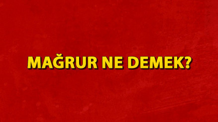 Mağrur ne demek Mağrur nedir Mağrur TDK kelime anlamı