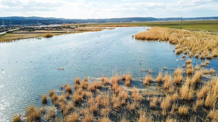 Yaban hayatının kuzeydoğudaki evi: Ağrı Dağı Milli Parkı