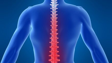 Bel fıtığına hangi bölüm bakar Hangi doktora gidilir