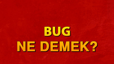 Bug ne demek Bug nedir