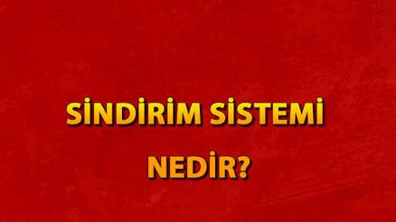 Sindirim sistemi nedir Sindirim sistemi organları ve hastalıkları nelerdir