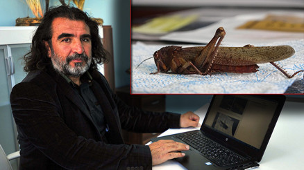 Prof. Dr. Aslandan dikkat çeken çekirge istilası açıklaması