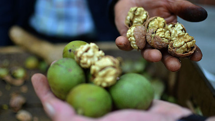 İşte Türkiyenin dört bir yanından tescillenmiş lezzetler