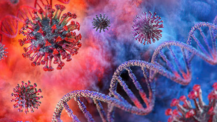 Dikkat çeken araştırma 5 kat daha uzun süre yaşıyor Dikkat çeken araştırma 5 kat daha uzun süre yaşıyor